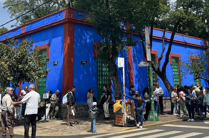 Admission Tickets to Anahuacalli Museum and Frida Kahlo - Challenges Highlighted by Reviews
