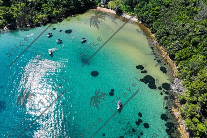 Adrenaline Adventure on Speedboat with 3 stops and Snorkeling - Navigating the Speedboat: Comfort, Crowds, and Safety