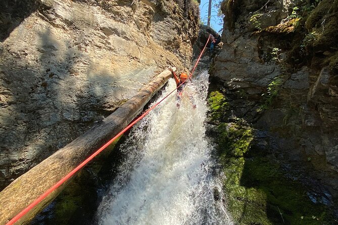 Adrenaline Canyoning Kelowna - Adrenaline Canyoning Kelowna: A Thrilling Outdoor Choice