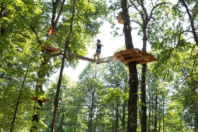 Adult Daily ticket for Adventure Park in Gravedona - The Staff and Safety Measures