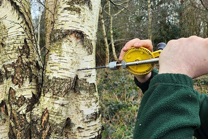 Adult Foraging Walk & Bushcraft Cookery Course for Beginners - Explore Responsible Foraging and Bushcraft in Northern Ireland for £89.40