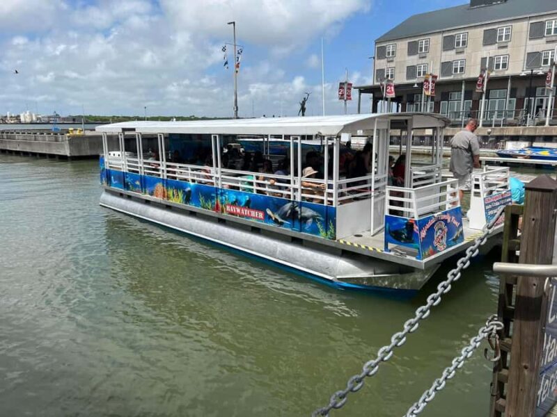 Adult Galveston Sunset Cruise 21 and up - What to Bring for a Perfect Sunset Experience