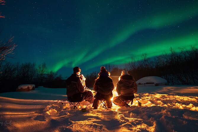 Adults Only Aurora Hunt with Citizen Science with Wandering Owl - Small-Group Aurora Hunting Outside Tromso for Intimate Encounters