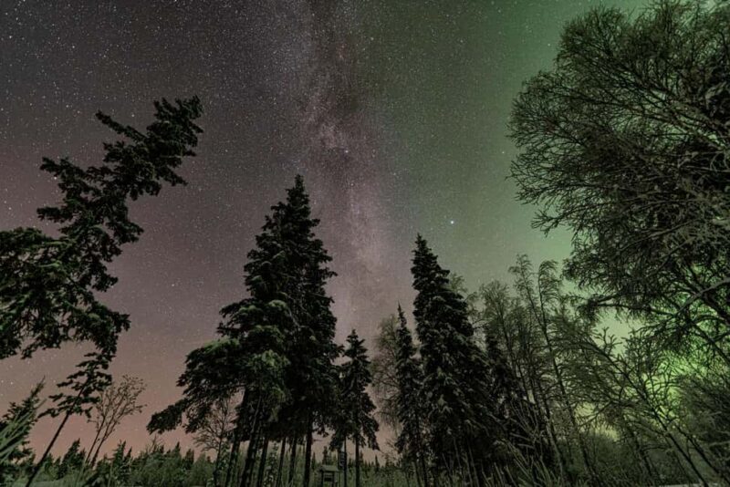 Adults Only Northern Lights Hunt in the Finnish Wilderness - Tour Logistics and Group Size