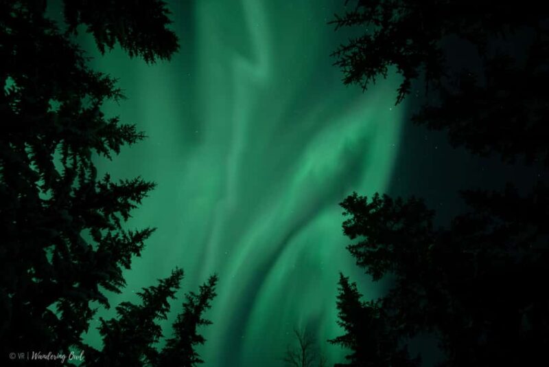 Adults Only Northern Lights Hunt with Snowshoeing - The Art of Aurora Hunting in Finnish Wilderness