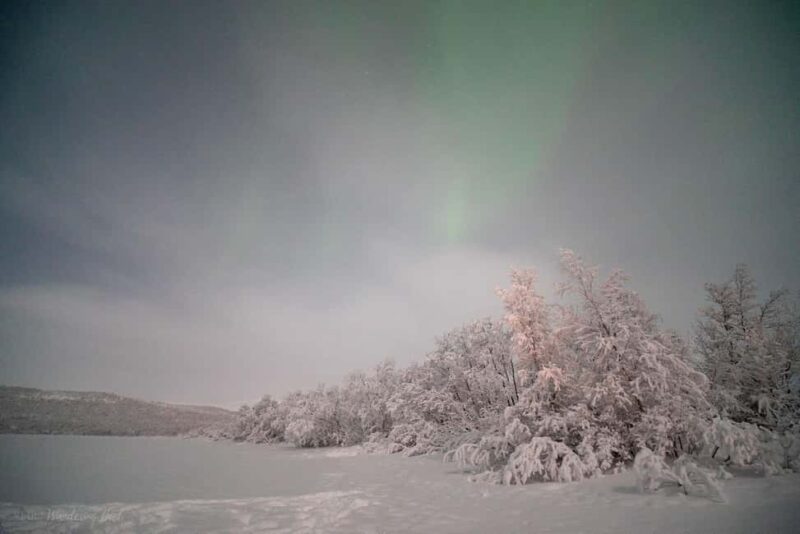Adults Only Northern Lights Hunt with Snowshoeing - Snowshoeing Through Arctic Forests and Wilderness