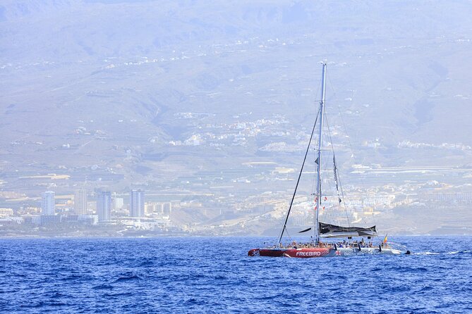 Adults Only Tenerife Freebird Whale Dolphin Catamaran with Lunch - Comparing Similar Tours