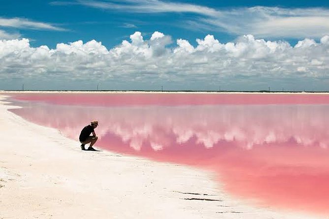 Adventour Day: Coloradas and Rio Lagartos Excursion from Cancun! - Visiting Las Coloradas Pink Lagoon: Nature’s Vivid Masterpiece