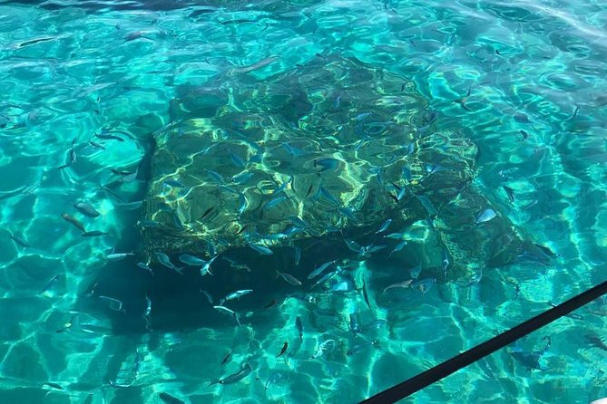 Adventure and nature! Exciting group tour by dinghy. - Exploring Capo Vaticano’s Iconic Lighthouse and Beaches