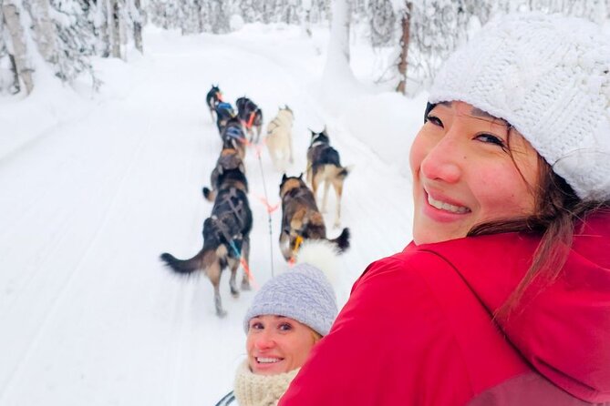 Adventure Awaits Dog Sledding on Stunning Alaskan Trails - Key Points