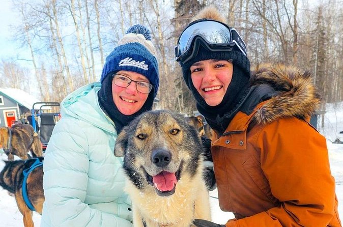 Adventure Awaits Dog Sledding on Stunning Alaskan Trails - The Sum Up: An Authentic and Scenic Alaskan Adventure