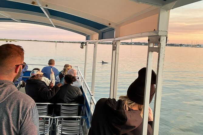 Adventure Boat Tours - One Hour Dolphin/Eco/History/Sightseeing Boat Tour - Scenic Waterway Views and Key Landmarks