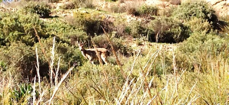 Adventure Cahorros, Monachil/ Climbing and abseiling Granada - Engaging Activities Along the Cahorros Trail