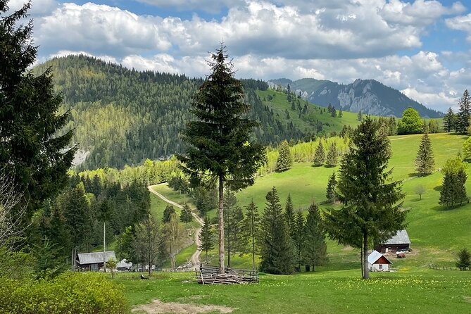 Adventure day trip from Iasi | Hiking in the Carpathian Mountains - The Expertise of the Mountain Guide