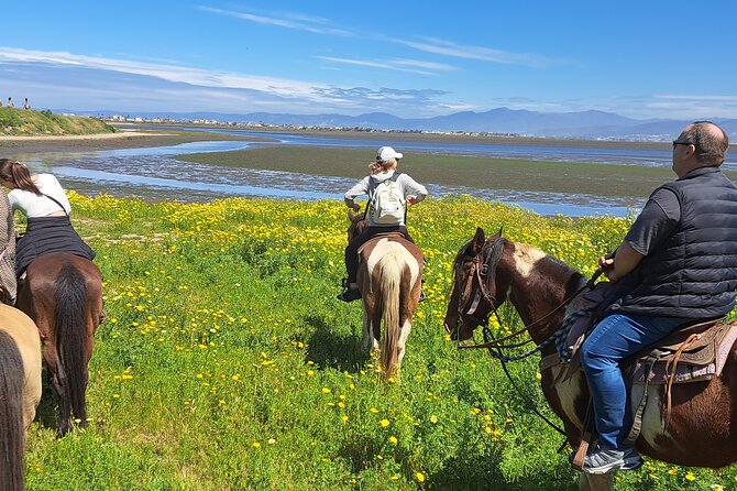 Adventure Delight The Ultimate Combo Ride at Desert Trails - Reaching the Beach for Horseback Waves and Coastal Fun