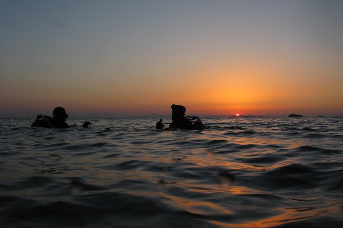 Adventure Dives for certified divers in Nea Makri, Athens - Explore Underwater Wonders Near Athens at an Affordable Price