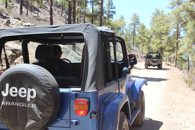 Adventure Driving Jeep Tour in Gran Canaria - Explore Gran Canaria’s Untouched Corners on a Jeep Tour