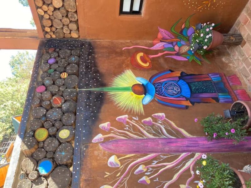 ADVENTURE from Oaxaca City to San José del Pacifico - Who Will Enjoy This Tour Most?