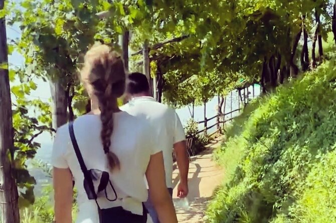 Adventure in the Prosecco Hills by Yellowboot - From Venice to the Prosecco Hills: Convenient Train Travel