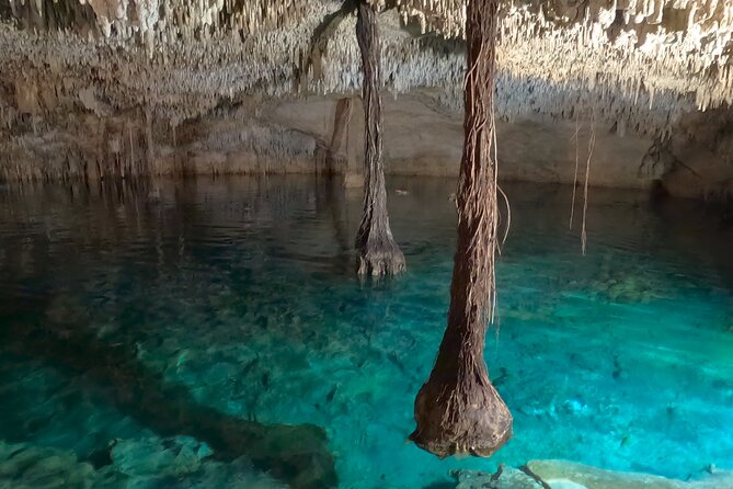 Adventure on the cenote route with zip line and typical lunch - Practical Details and Booking Flexibility