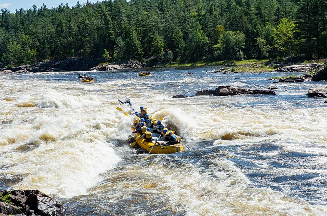 Adventure Rafting on the Ottawa River - Why Choose This Tour?