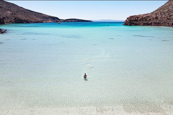 Adventure to Espiritu Santo Island: Snorkel with Sea Lions and Beach - Discover the Unique Adventure to Espiritu Santo Island in La Paz
