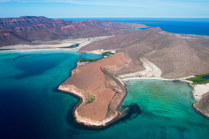 Adventure to Espiritu Santo Island: Snorkel with Sea Lions and Beach - Convenient Departure from La Pazs Easy Meeting Point