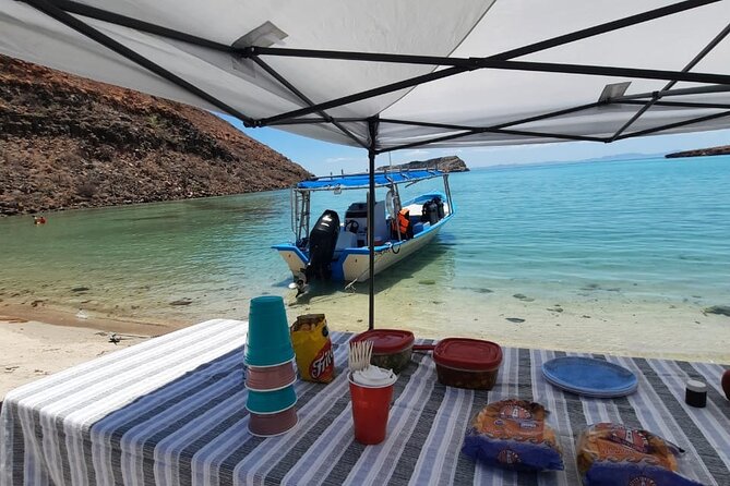 Adventure to Espiritu Santo Island: Snorkel with Sea Lions and Beach - Delicious Lunch with Ceviche or Vegan Options