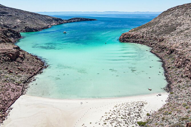 Adventure to Espiritu Santo Island: Snorkel with Sea Lions and Beach - Marine Wildlife Encounters Beyond Sea Lions