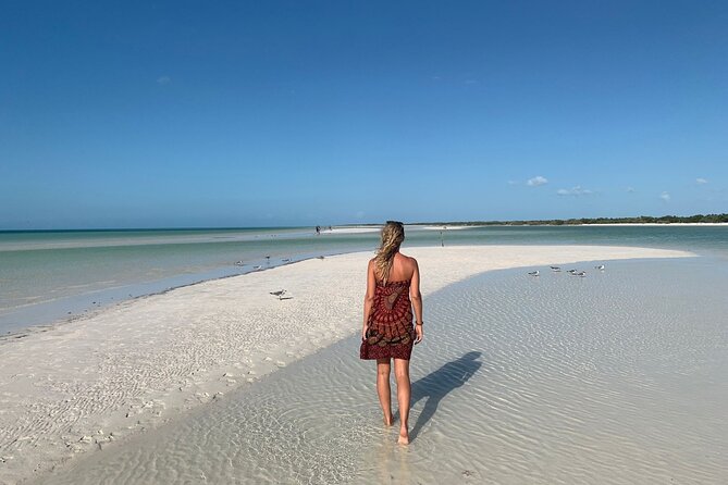 Adventure to Punta Mosquito in Holbox from Cancún - Key Points