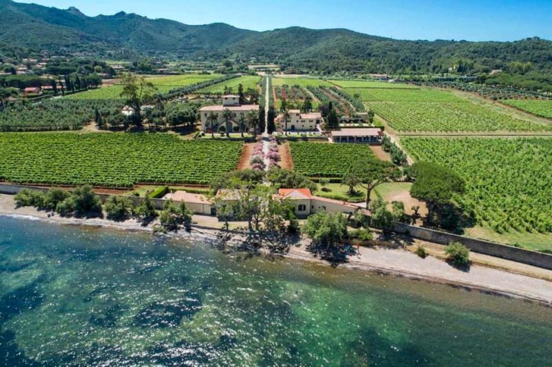 Adventurous Bike Tour to Tenuta la Chiusa with Tasting - Key Points