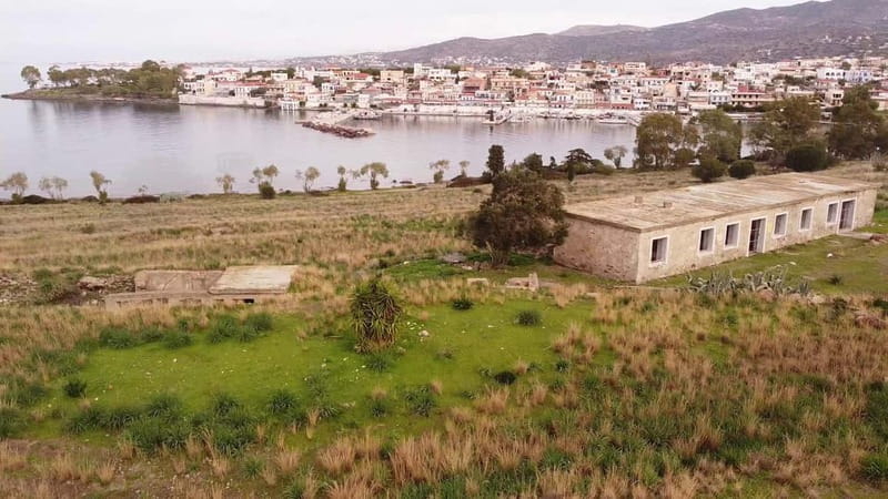 Aegina: Ancient Olive Grove (Eleonas) & Perdika Village Tour - Practical Details: What’s Included and What’s Not