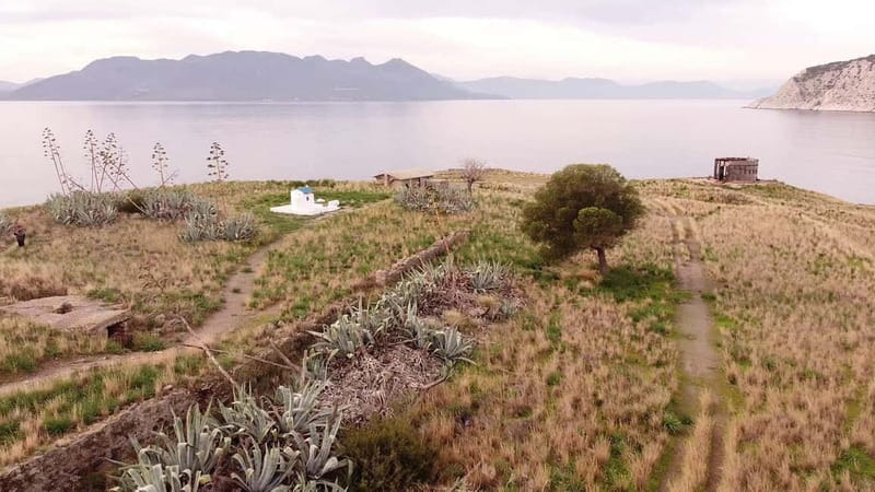 Aegina: Ancient Olive Grove (Eleonas) & Perdika Village Tour - Logistics: Meeting Points and Group Size