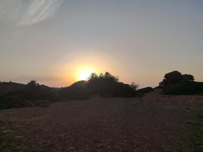 Aegina: Ancient Olive Grove (Eleonas) & Perdika Village Tour - Final Thoughts: A Quiet Journey into Aegina’s Olive Heritage