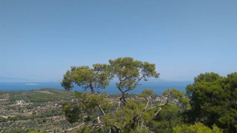 Aegina Island & Temple of Athina Aphaia Private Day Tour - Limitations and Practical Tips