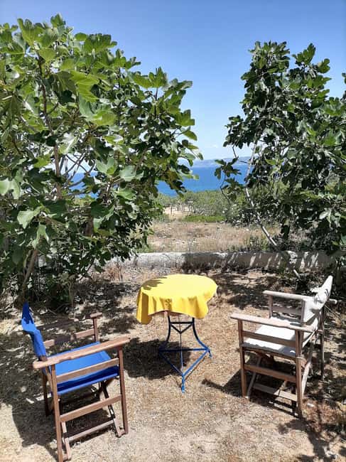 Aegina: Private Wine Tasting Experience - Customizable Tasting in Your Preferred Setting