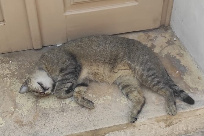 Aegina Town Walking Tour - Explore more on this guided tour! - Local Craft Workshops and Unique Shopping Opportunities