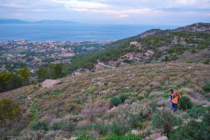 Aegina - Walking Tour At Paliachora ( Mediavil Capital Of Aegina ) - Flexibility and Personal Attention in a Private Setting