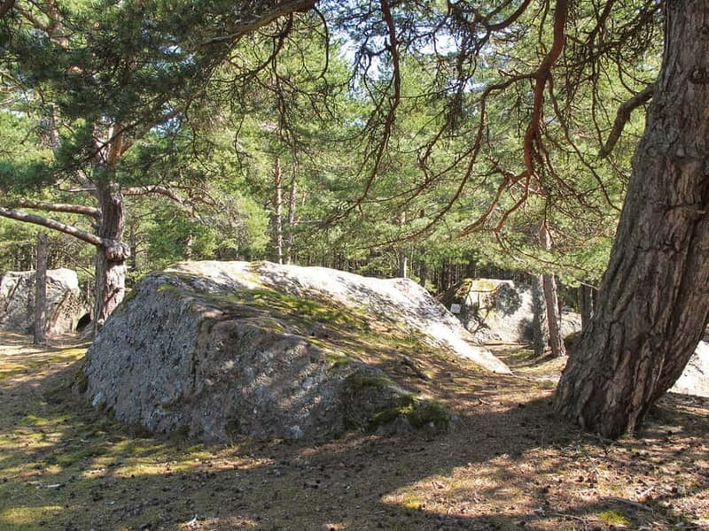 Aegna Island: Self-Guided Discovery Tour - Comparing to Similar Tours and Overall Value