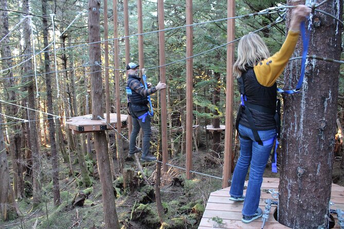 Aerial Adventure Ropes Course in Sitka - Physical and Skill Challenges