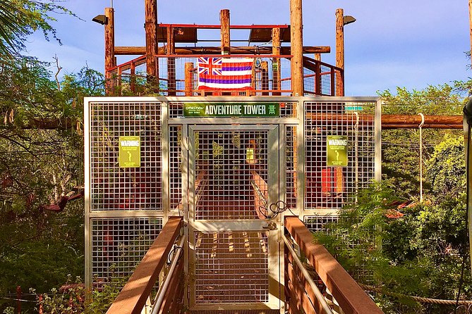 Aerial Challenge Course - What’s Included and What’s Not