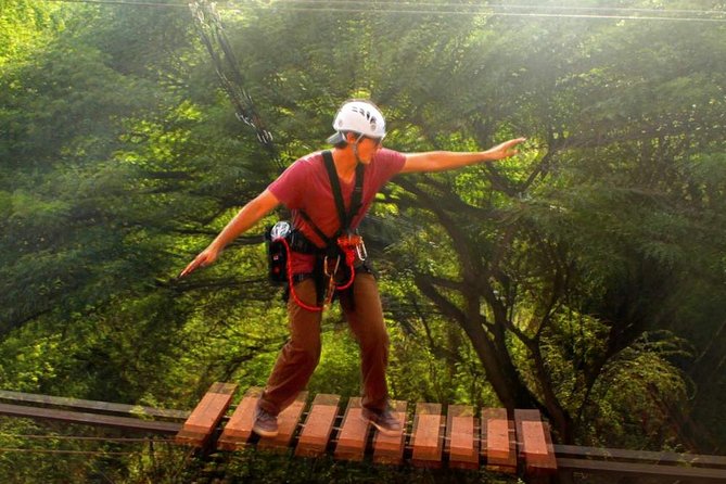 Aerial Challenge Course - The Excitement of a Small Group Experience