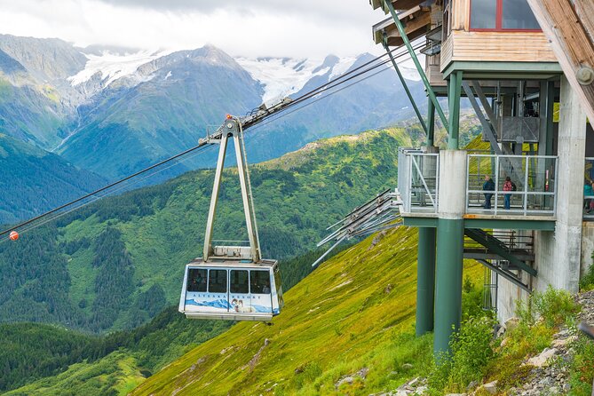 Aerial Tram and Wildlife Center tour from Anchorage - Explore Anchorage with a Scenic Aerial Tram and Wildlife Center Tour