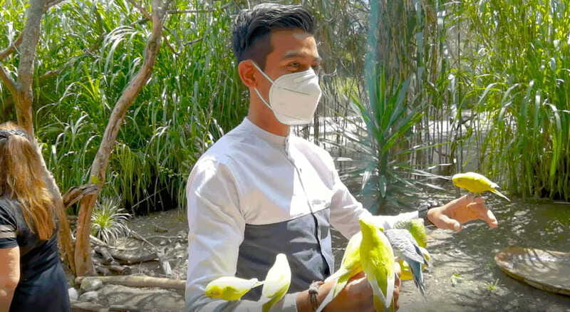 Africam Safari Conservation Park - Frequently Asked Questions