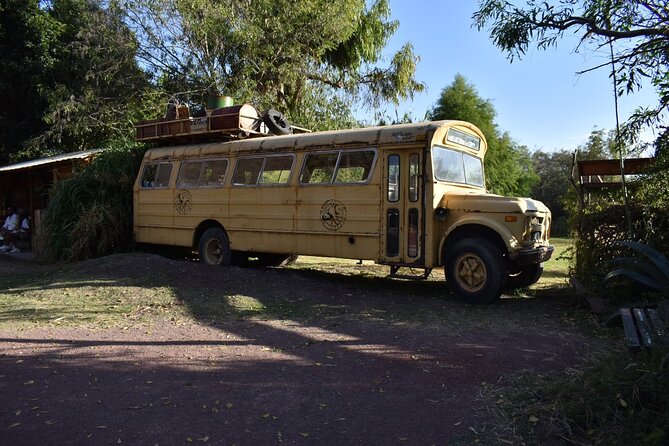 Africam safari (private tour) - Who Will Enjoy This Tour Most?