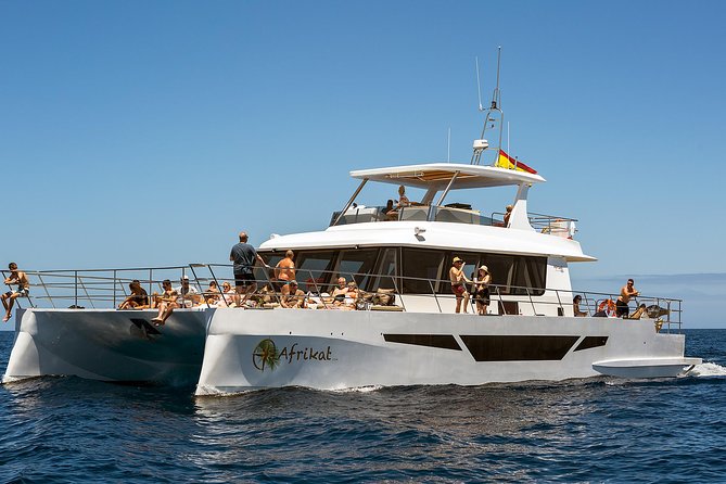 Afrikat Afternoon Cruise - Enjoy Water Activities: Swimming and Snorkeling