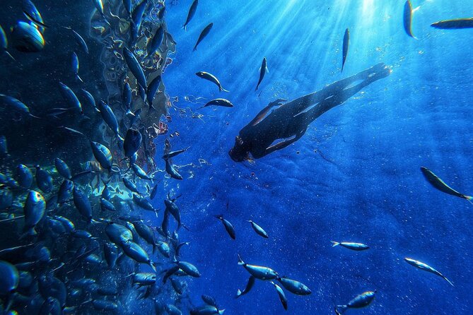 Afrikat Morning Cruise - Key Points