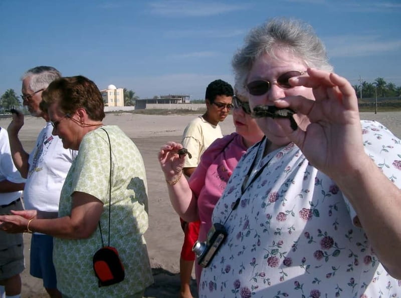 *Afro-Mex Village Horse Ride, Turtle Release Crocodile Farm - Experience a Unique Mix of Nature, Wildlife, and Culture in Acapulco