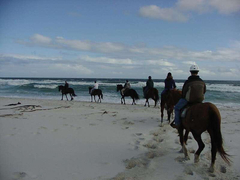 *Afro-Mex Village Horse Ride, Turtle Release Crocodile Farm - Participating in the Baby Turtle Release Ceremony