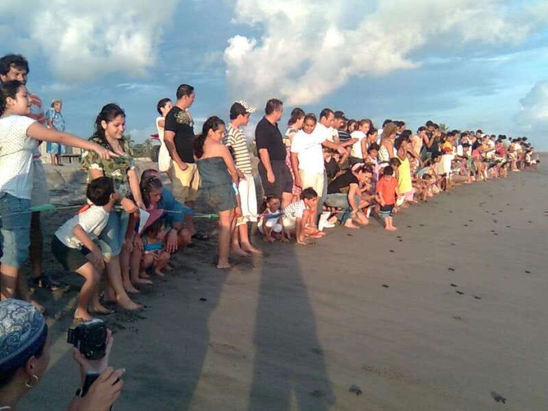 *Afro-Mex Village Horse Ride, Turtle Release Crocodile Farm - Visiting the Crocodile Farm and Learning About Mexicos Wildlife